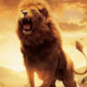 Meet your Posher, Thunder lion king